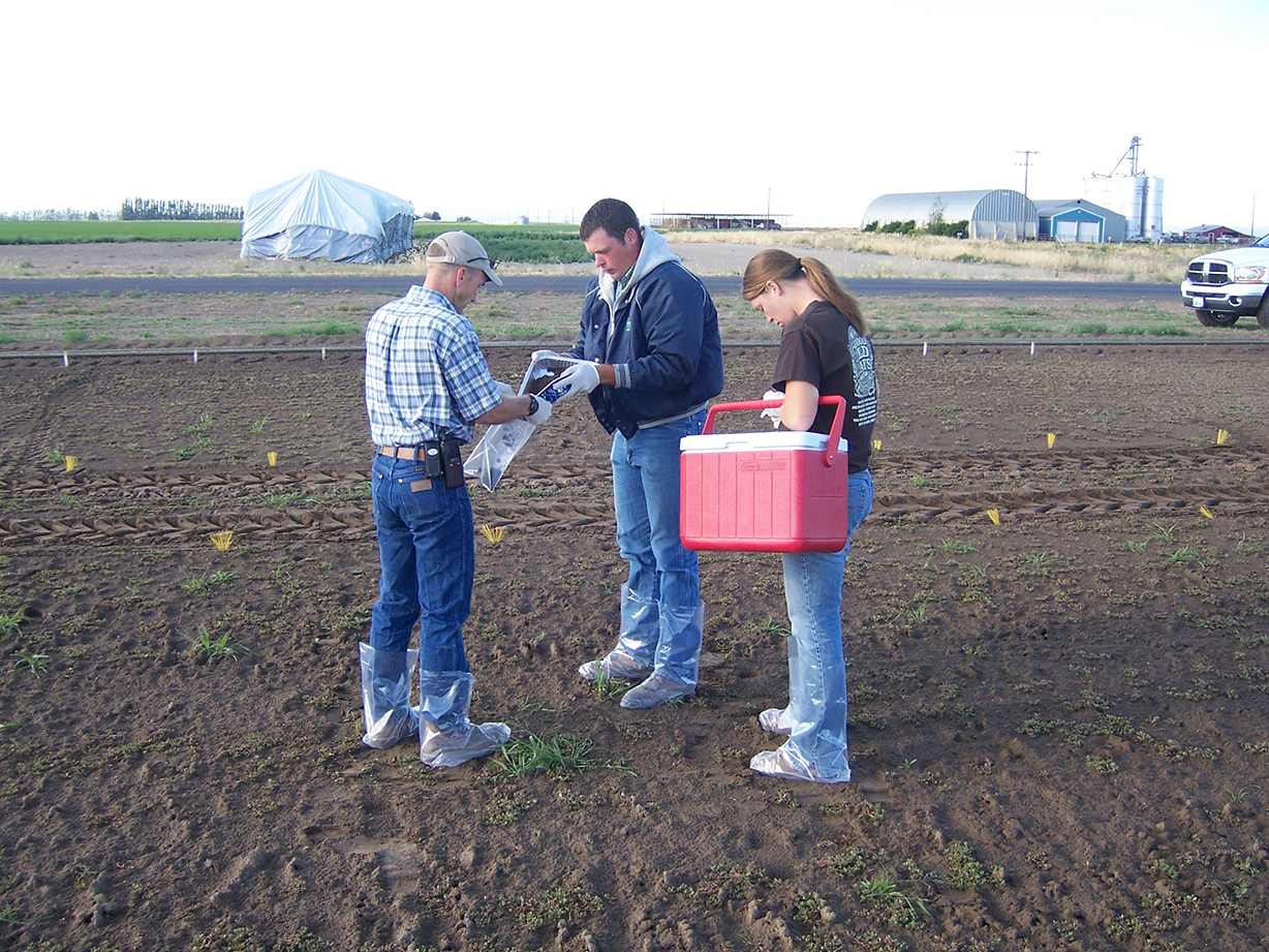 Dissipation Soil trays 2_crop