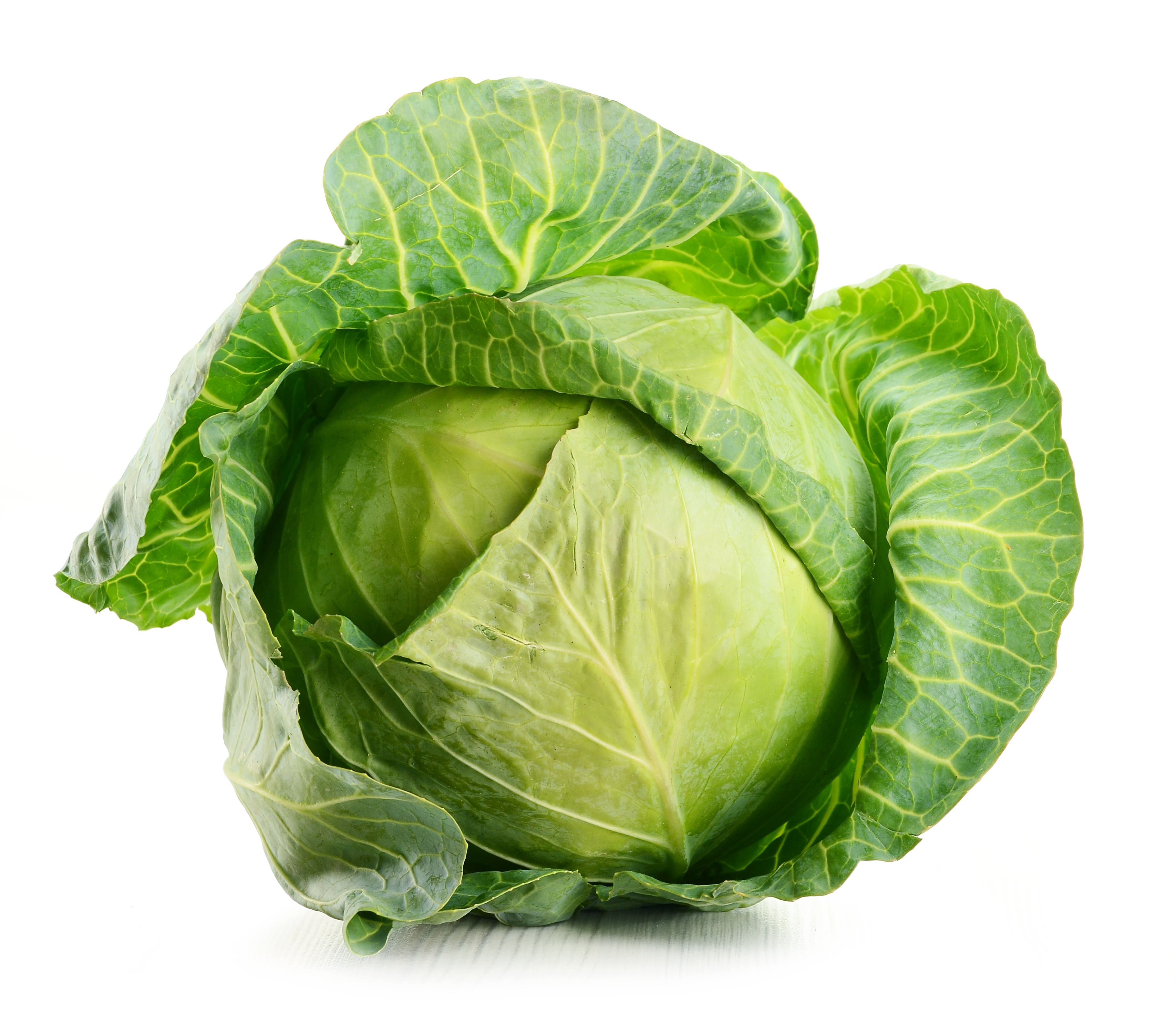 Raw Cabbage Isolated On White raw-cabbage-isolated-on-white